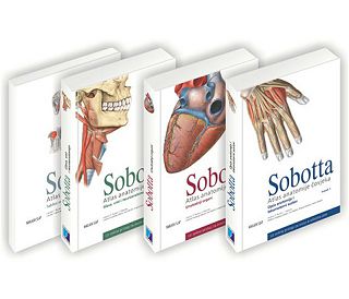 atlas-anatomije-covjeka-i-ii-iii-svezak-tablice-sobotta-31747-9789531917728_7103.jpg