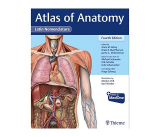 ATLAS OF ANATOMY 4E: LATIN NOMENCLATURE, Anne M. Gilroy