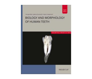 BIOLOGY AND MORPHOLOGY OF HUMAN TEETH, Vodanović Marin, Brkić Hrvoje, Dumančić Jelena