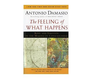 FEELING OF WHAT HAPPENS: Body and Emotion in the Making of Consciousness, Antonio Damasio