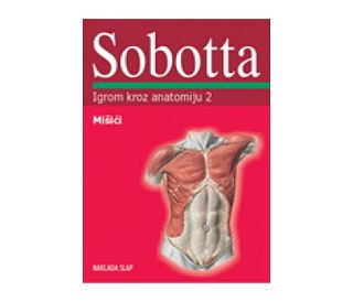 IGROM KROZ ANATOMIJU 2 (Mišići), Johannes Sobotta