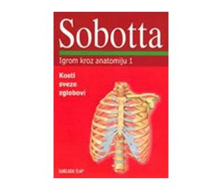 IGROM KROZ ANATOMIJU 3 (Središnji živčani sustav, krvne žile i topografske regije), Johannes Sobotta