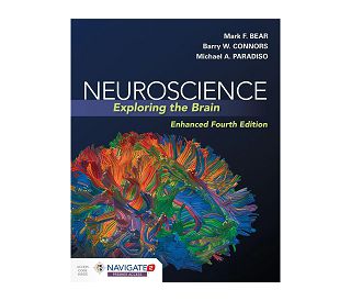 NEUROSCIENCE: EXPLORING THE BRAIN 4E,  Mark Bear, Barry Connors, Michael A. Paradiso